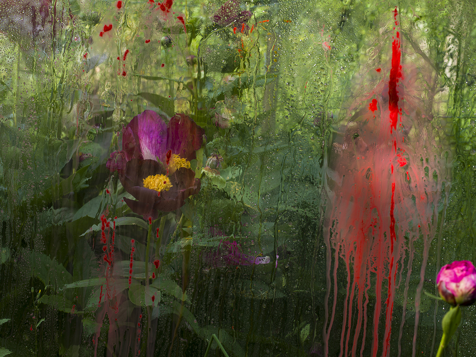 Denis Piel a Napoli: dal 7 ottobre al 20 novembre 2022 a Villa Pignatelli la mostra “DOWN TO EARTH”